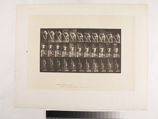 Animal Locomotion. Plate 110.