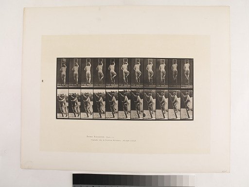 Animal Locomotion. Plate 111.