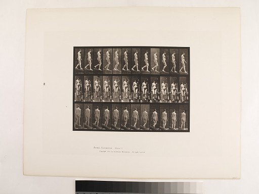 Animal Locomotion. Plate 117.