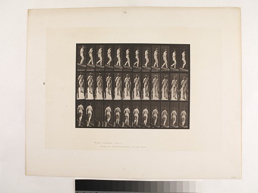 Animal Locomotion. Plate 119.