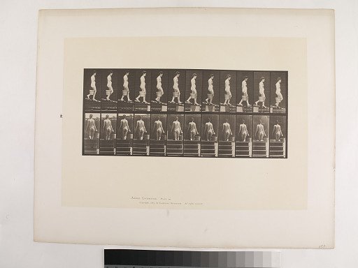 Animal Locomotion. Plate 120.