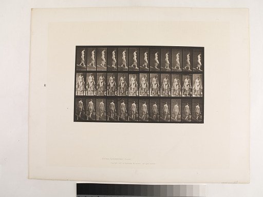 Animal Locomotion. Plate 121.