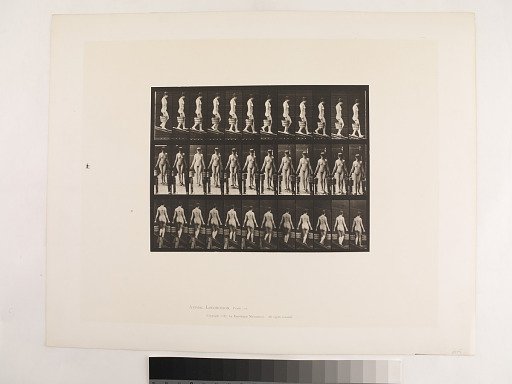 Animal Locomotion. Plate 122.