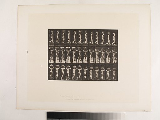Animal Locomotion. Plate 124.