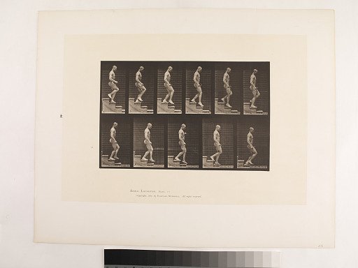 Animal Locomotion. Plate 126.