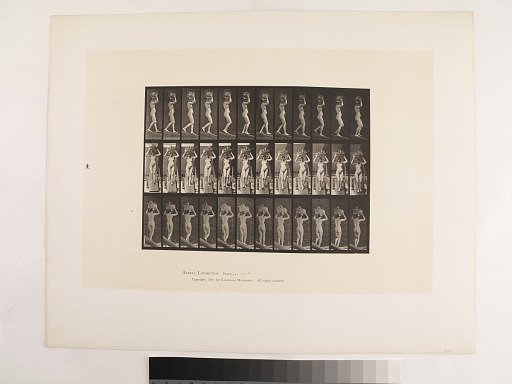 Animal Locomotion. Plate 126.