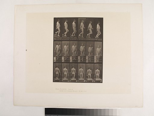 Animal Locomotion. Plate 127.