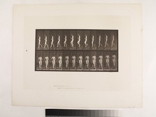 Animal Locomotion. Plate 128.