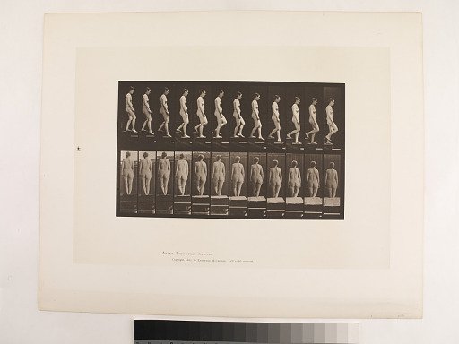 Animal Locomotion. Plate 129.