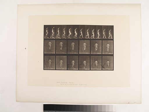 Animal Locomotion. Plate 130.
