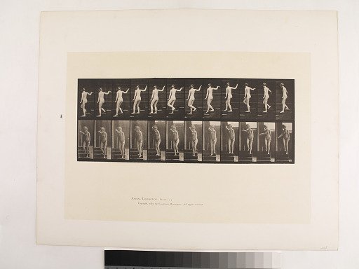 Animal Locomotion. Plate 132.