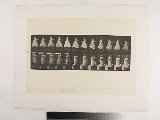 Animal Locomotion. Plate 134.