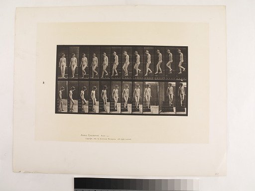 "Animal Locomotion. Plate 137."; Female, Descending stairs turning around