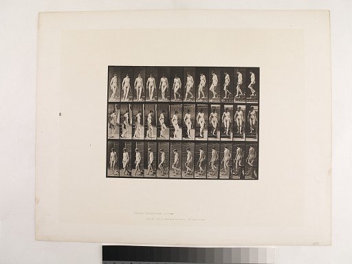 "Animal Locomotion. Plate 138."; Female, Descending stairs turning; pitcher in left hand