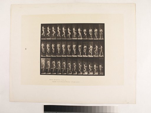 "Animal Locomotion. Plate 144."; Female, Descending stairs turning basin in hands
