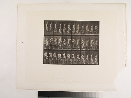 "Animal Locomotion. Plate 145."; Female, Descending stairs turning bucket water in right hand