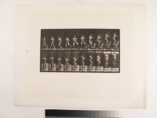 "Animal Locomotion. Plate 151."; Male, Descending step-ladder, turning around, rock in hands