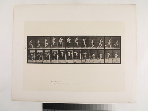 "Animal Locomotion. Plate 154."; Male, Jumping; running straight high jump