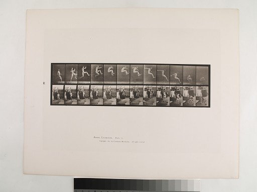 "Animal Locomotion. Plate 159."; Male, Jumping; running broad jump (shoes)
