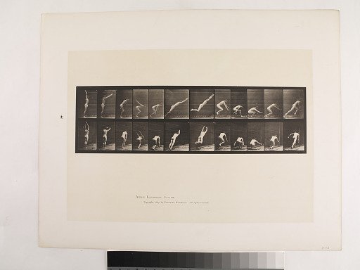 "Animal Locomotion. Plate 162."; Male, Jumping; standing broad jump