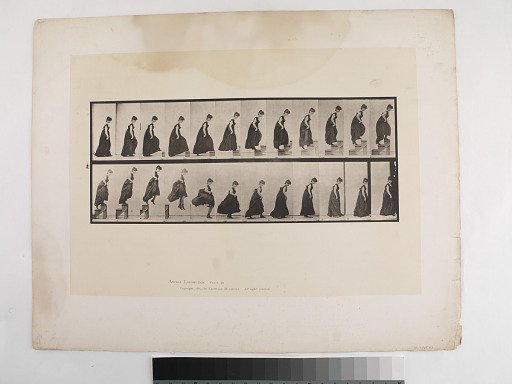 "Animal Locomotion. Plate 173."; Female, Stepping up stairs; jumping down; walking