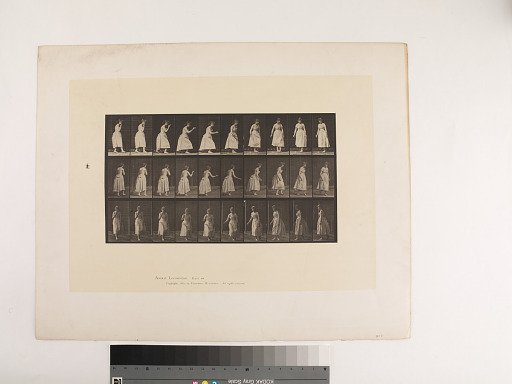 Animal Locomotion. Plate 200.