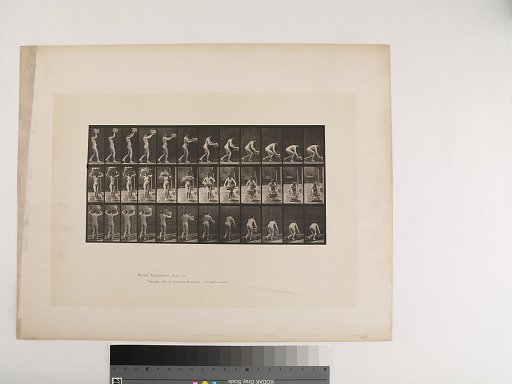 Animal Locomotion. Plate 201.