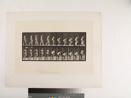 Animal Locomotion. Plate 202.