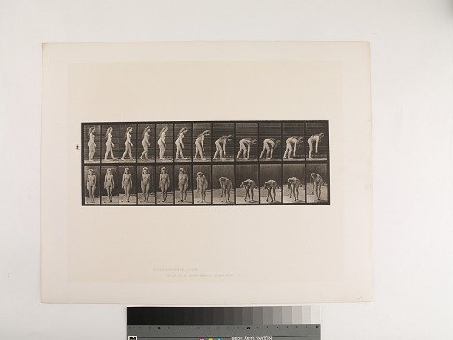 Animal Locomotion. Plate 204.