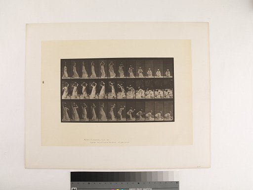Animal Locomotion. Plate 206.