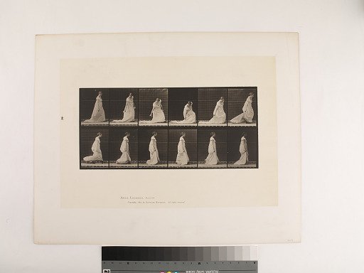 Animal Locomotion. Plate 207.