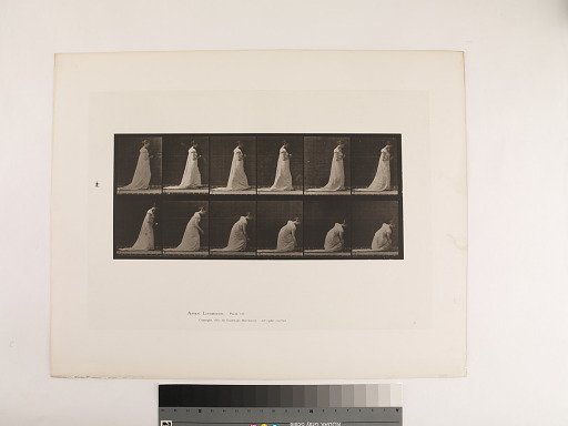 Animal Locomotion. Plate 208.
