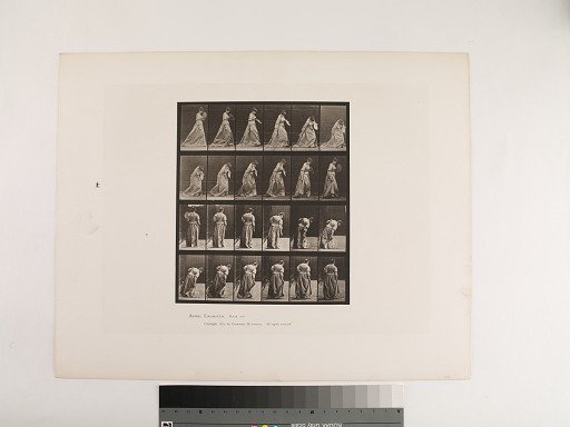 Animal Locomotion. Plate 210.