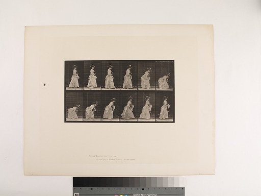 Animal Locomotion. Plate 211.
