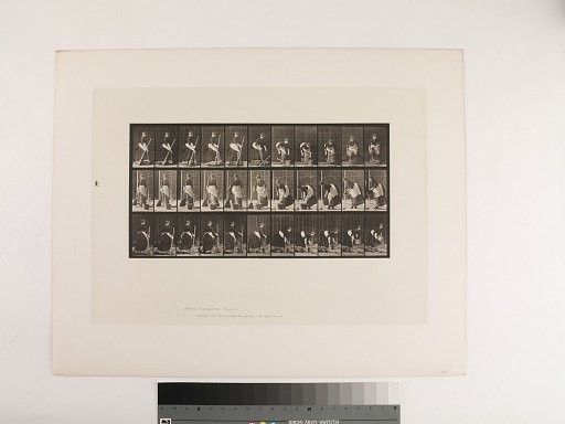 Animal Locomotion. Plate 212.