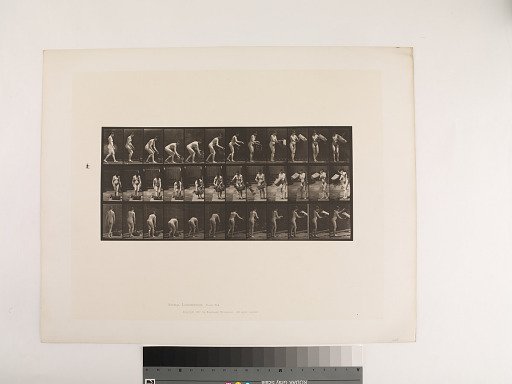 Animal Locomotion. Plate 213.
