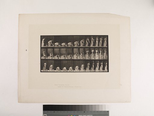 Animal Locomotion. Plate 214.