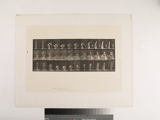 Animal Locomotion. Plate 215.