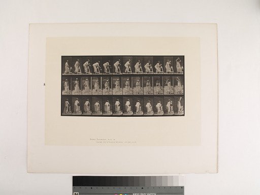 Animal Locomotion. Plate 216.