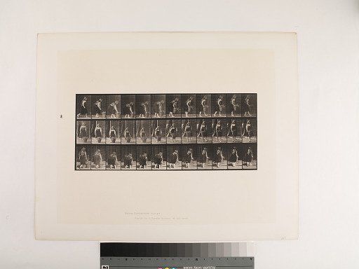 Animal Locomotion. Plate 217.