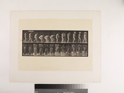 Animal Locomotion. Plate 218.