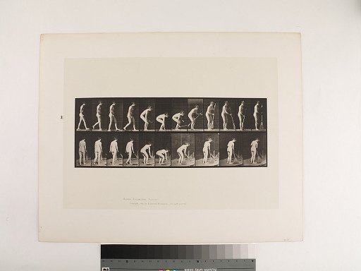 Animal Locomotion. Plate 219.