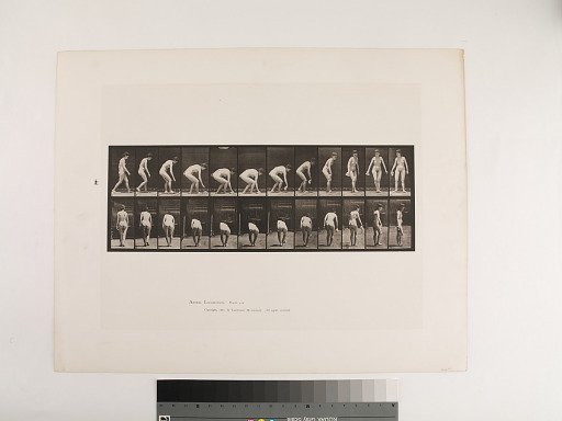 Animal Locomotion. Plate 220.
