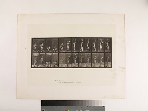 Animal Locomotion. Plate 222.