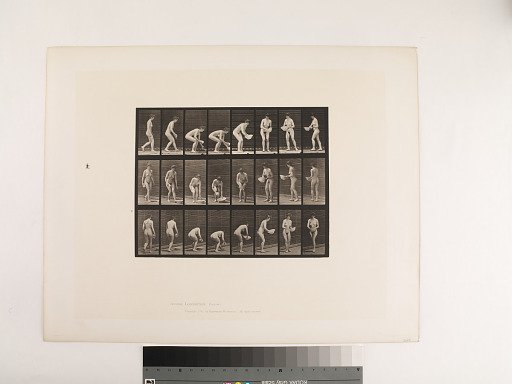 Animal Locomotion. Plate 223.