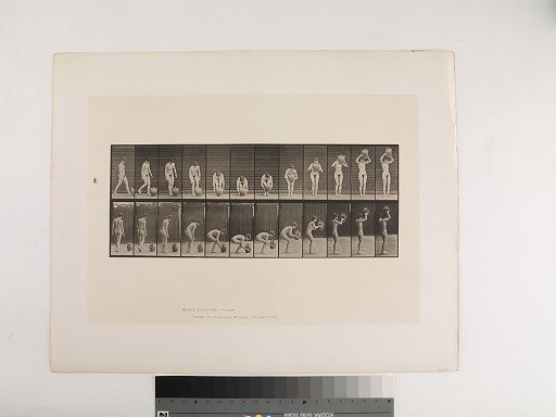Animal Locomotion. Plate 224.