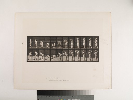 Animal Locomotion. Plate 225.