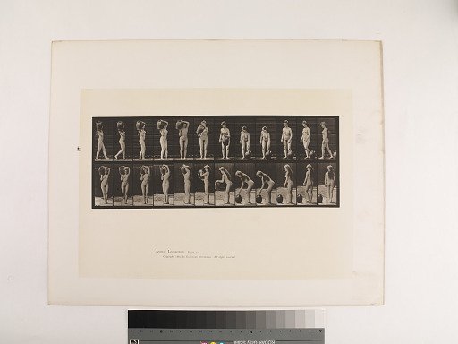 Animal Locomotion. Plate 226.