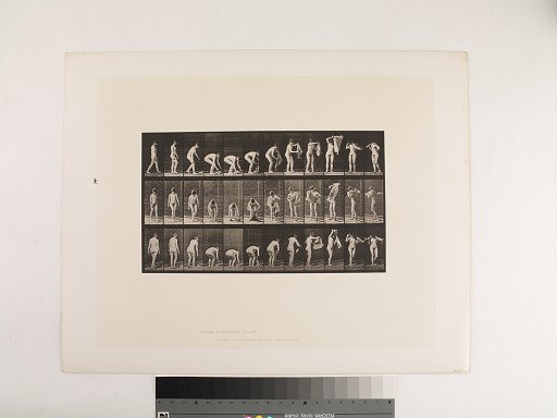 Animal Locomotion. Plate 227.