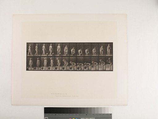 Animal Locomotion. Plate 228.